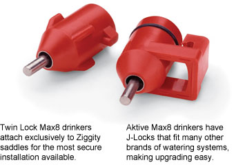 max8-drinker